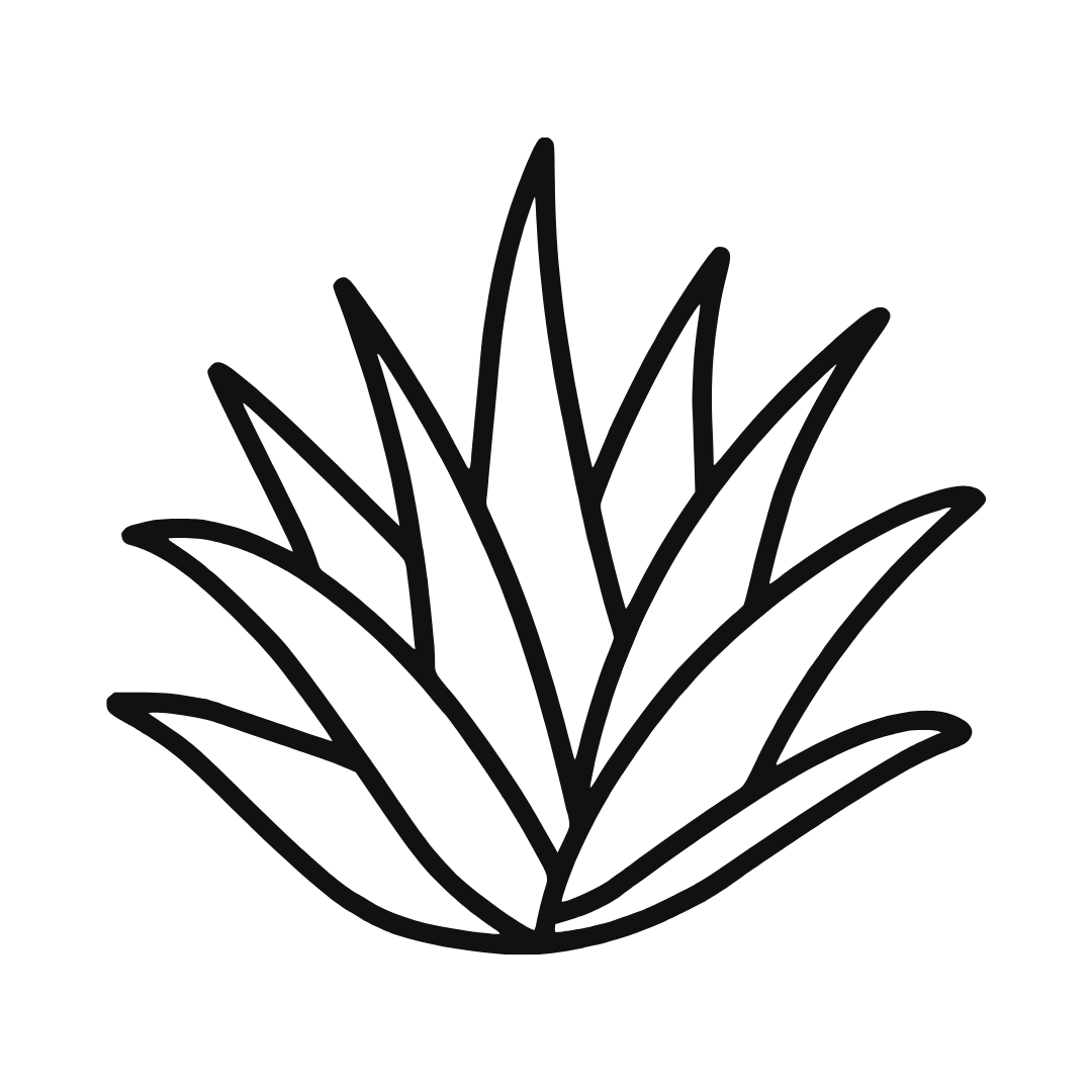 GRAFIK AGAVE TRANSPARENT SCHWARZ