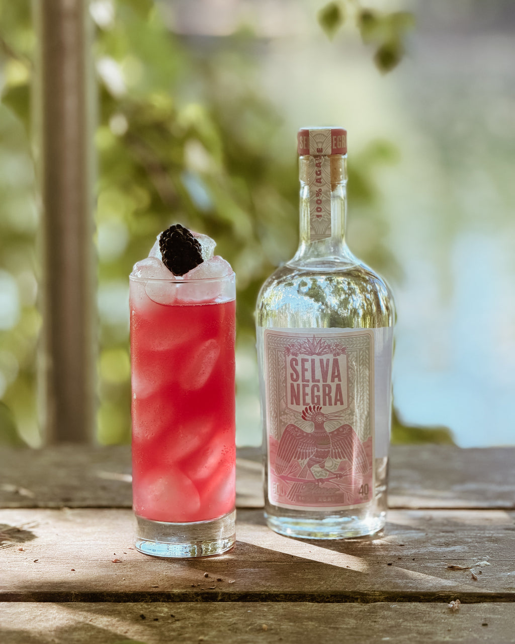 PALOMA MIT BROMBEERE UND SELVA NEGRA BLANCO AUF EINEM STEG