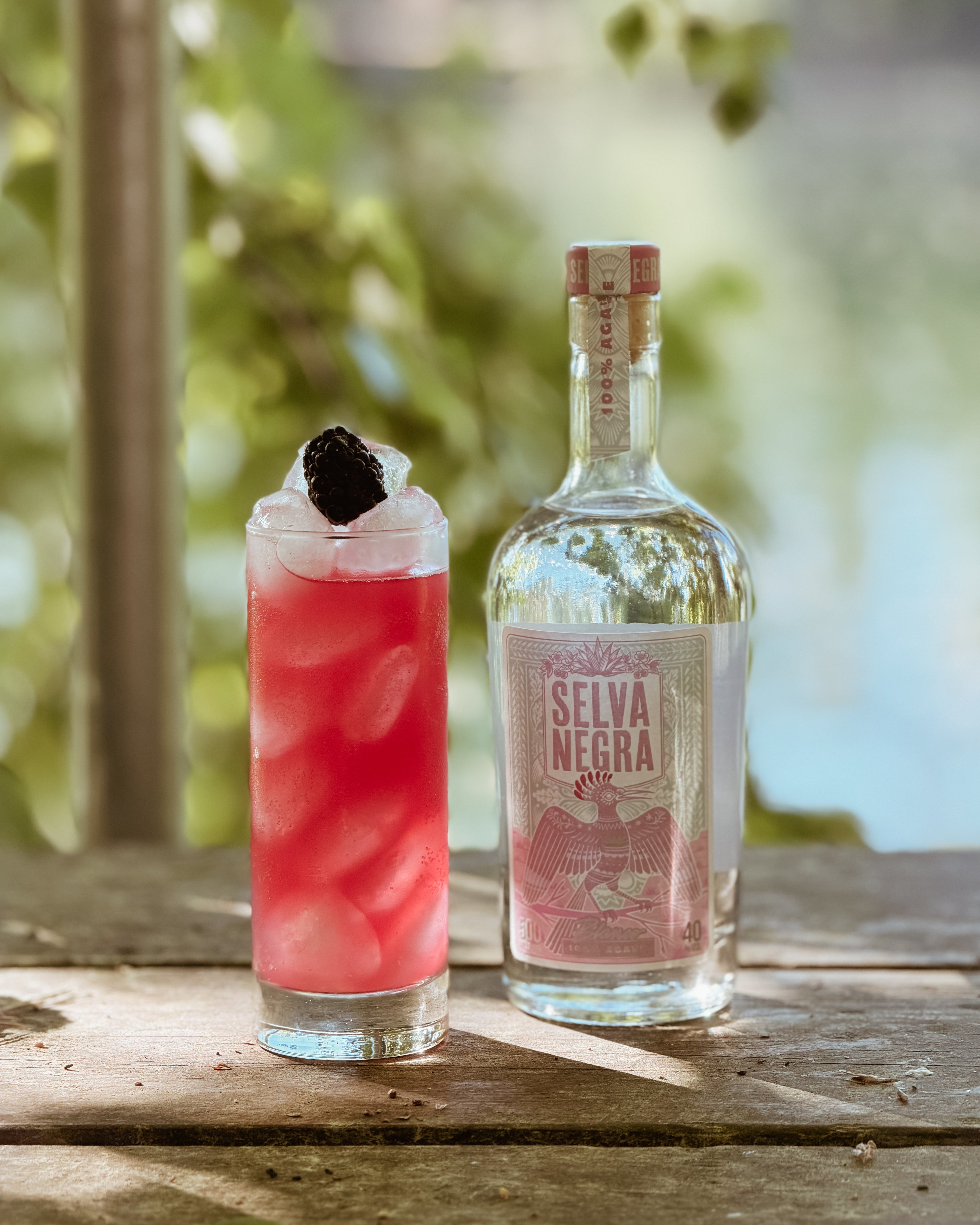 PALOMA MIT BROMBEERE UND SELVA NEGRA BLANCO AUF EINEM STEG